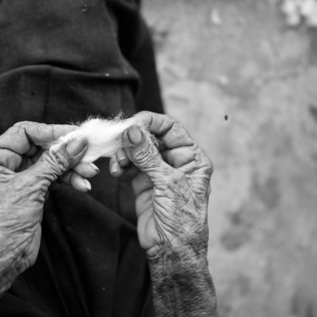 Organic Awareness Month