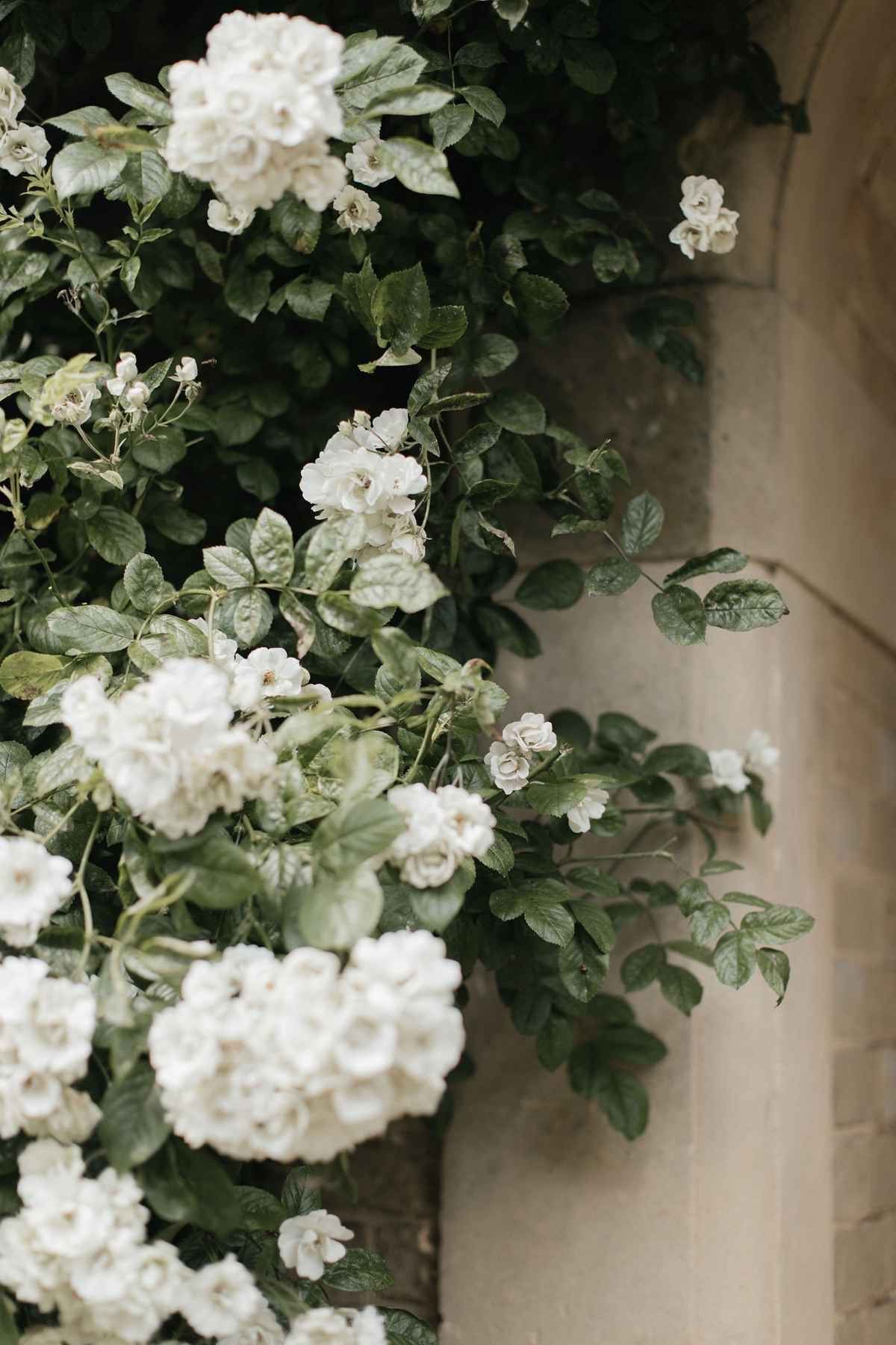 Light Between Seasons | Spring 2025