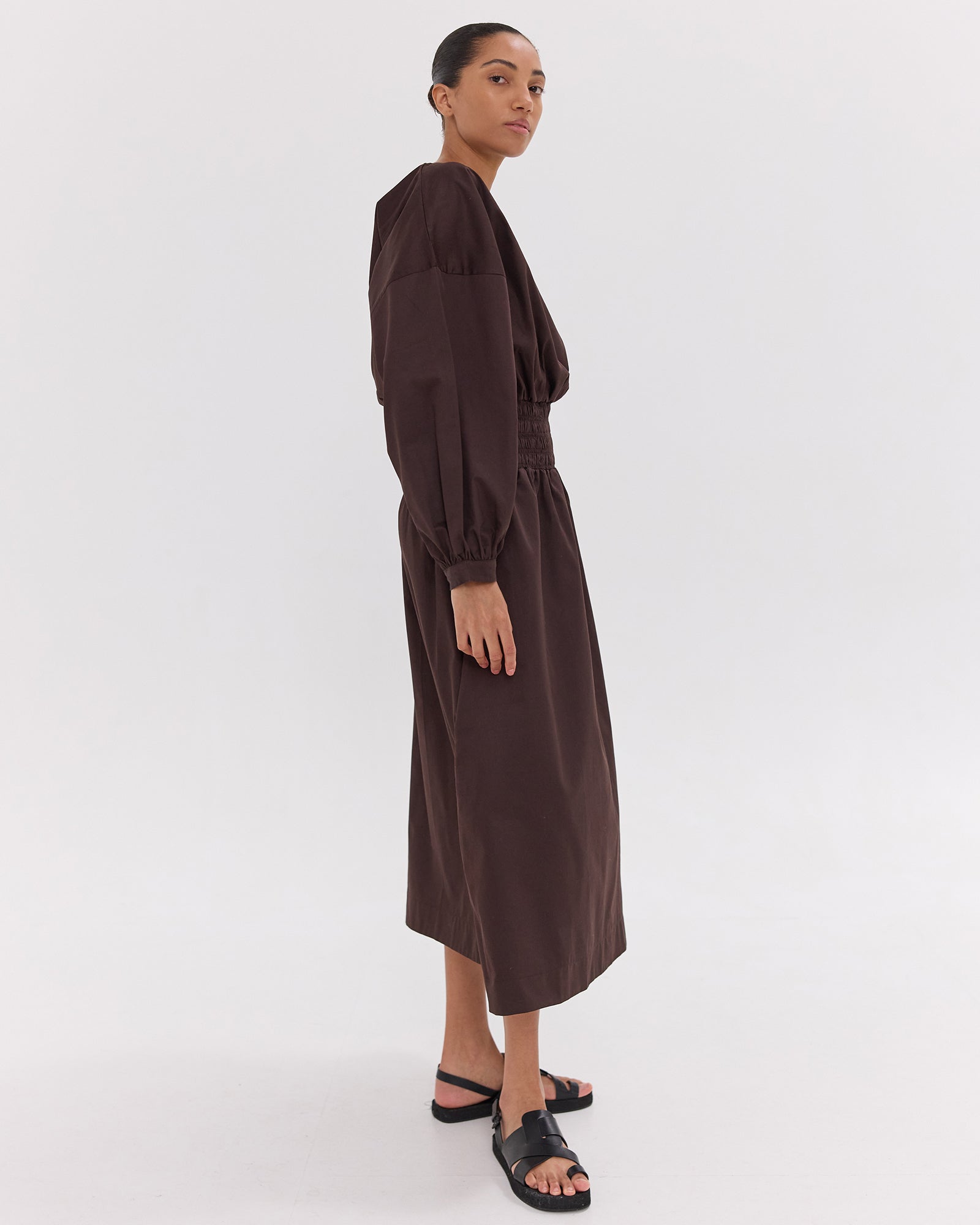 The Shirred Billow Sleeve Dress | Brazil Nut