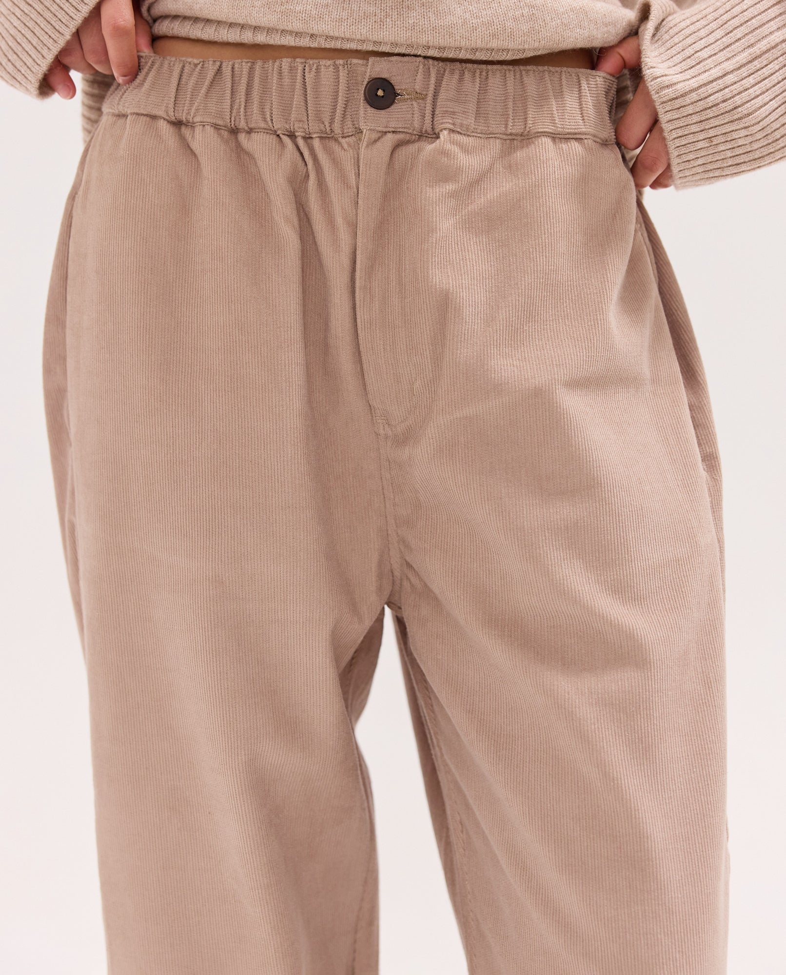 The Corduroy Baggy Pant | Sleet