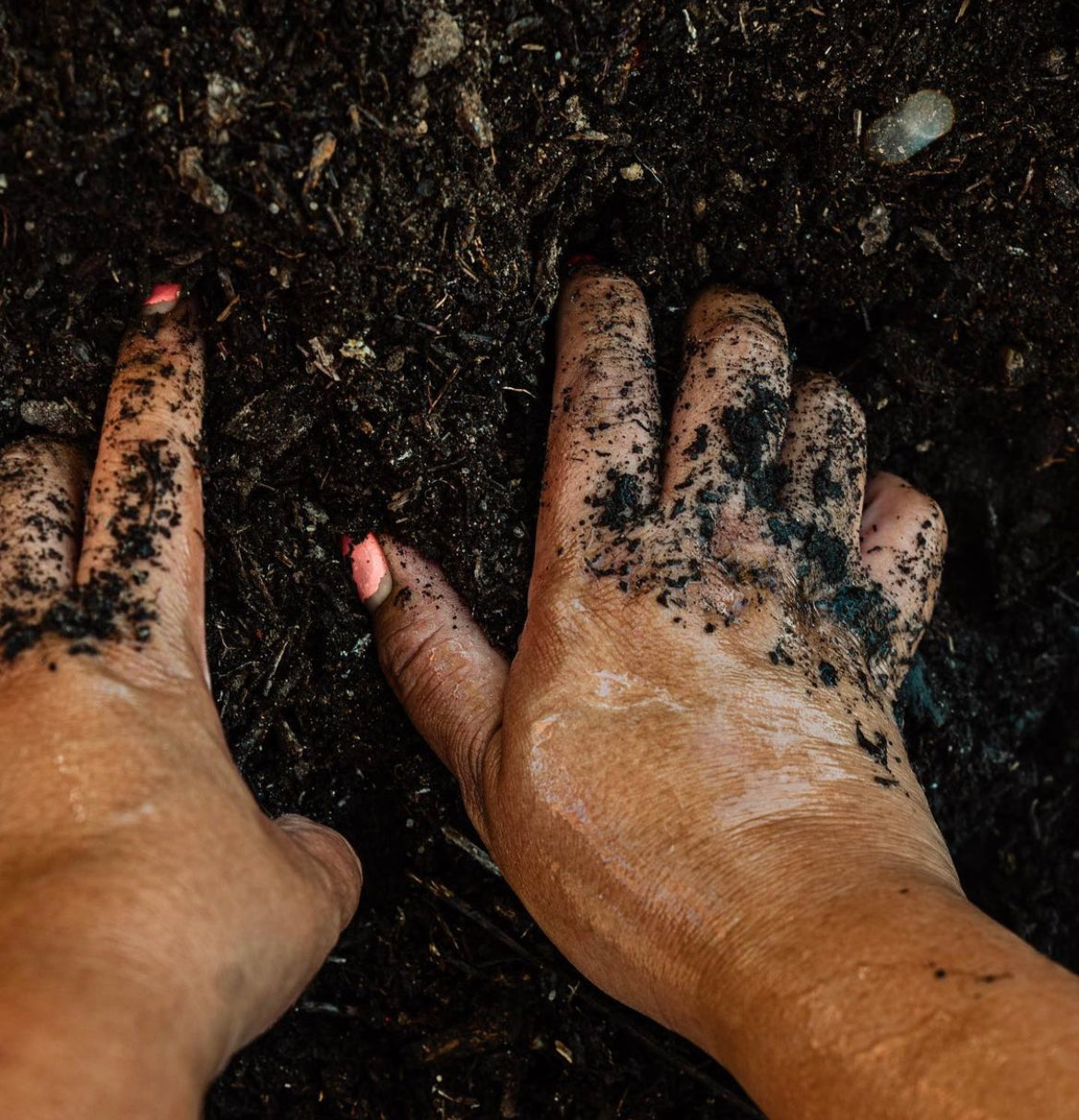 World Soil Day