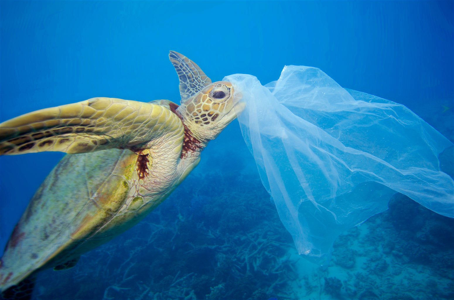 Navigating The World of Sustainable Packaging