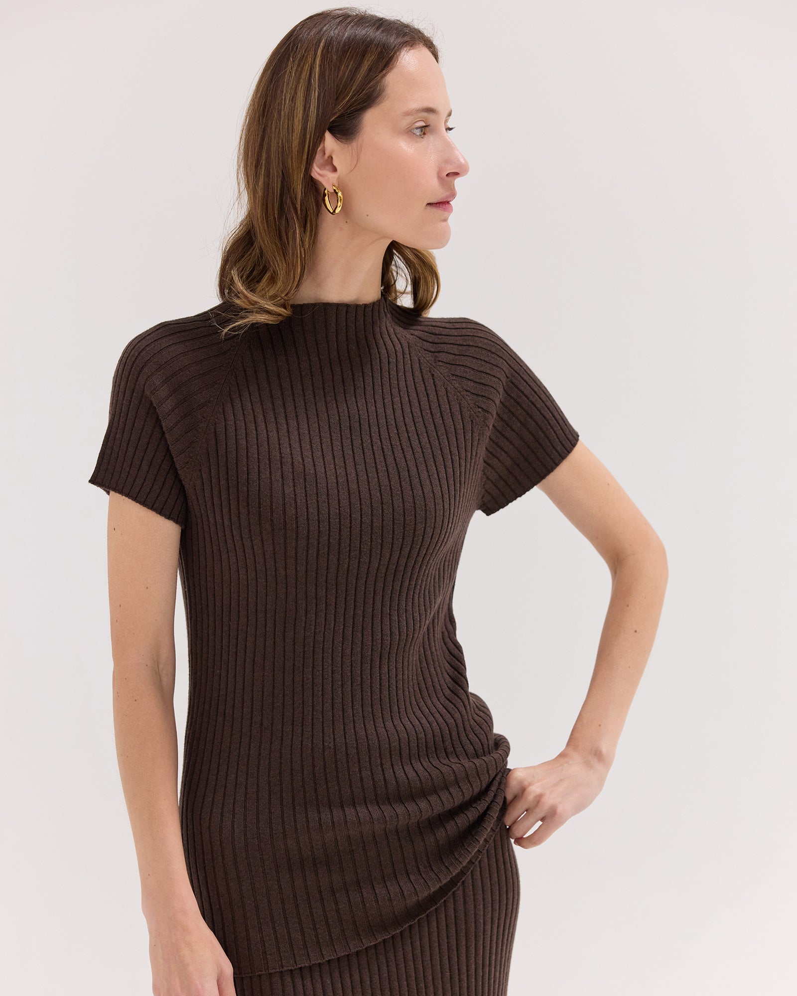 The Rib Knit Tee | Brazil Nut