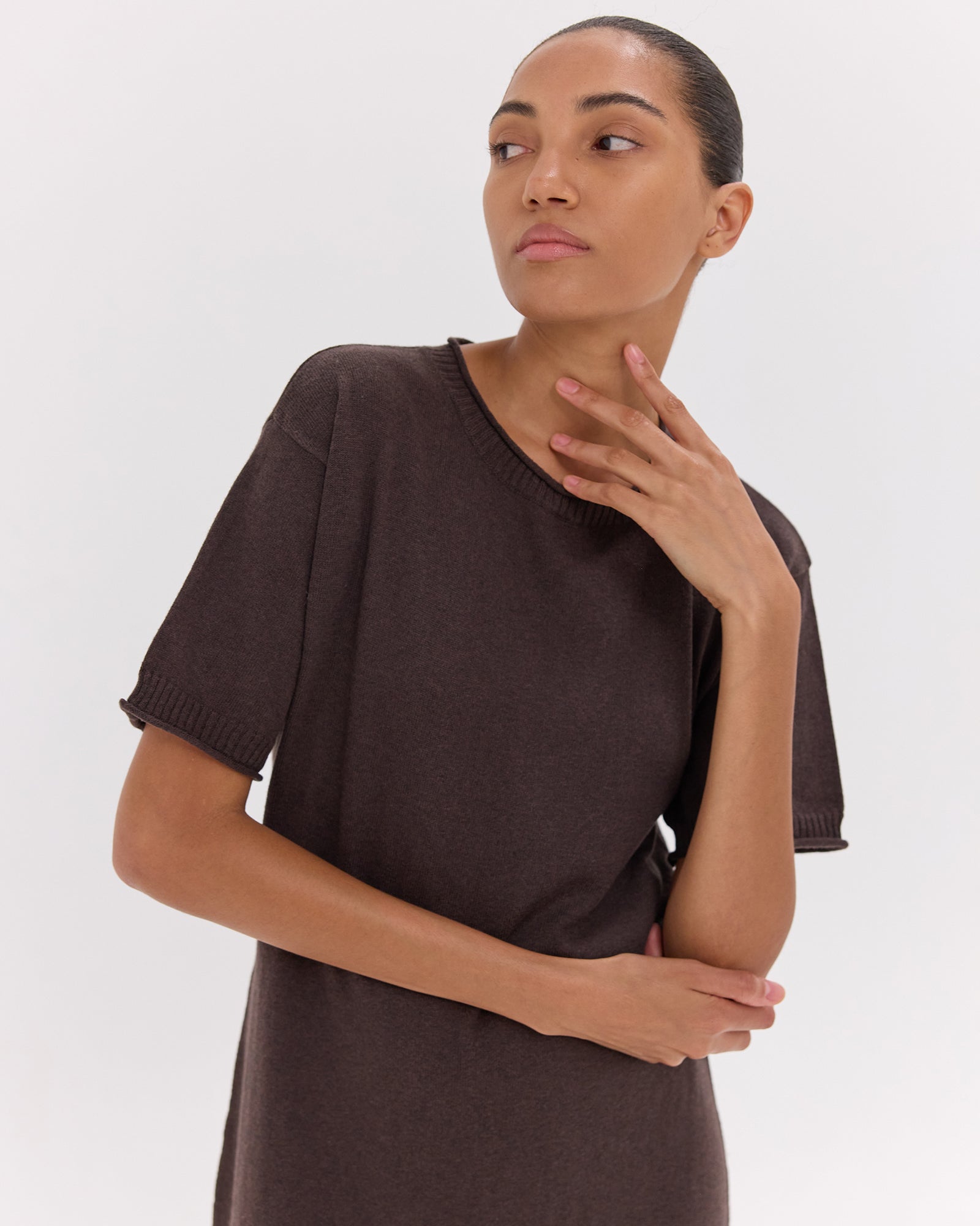 The Knit Tee Dress | Brazil Nut